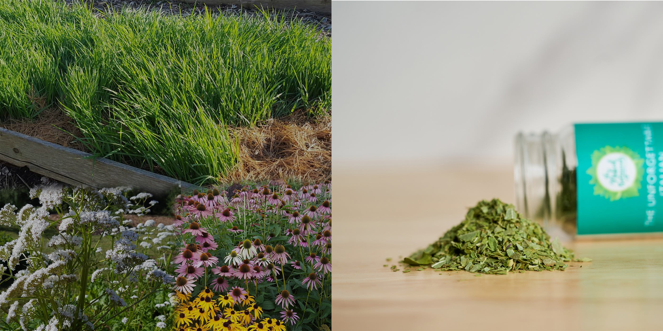 Explore our farm at The Naked Botanical, featuring USA grown, farm-fresh herbs, teas, and wellness botanicals