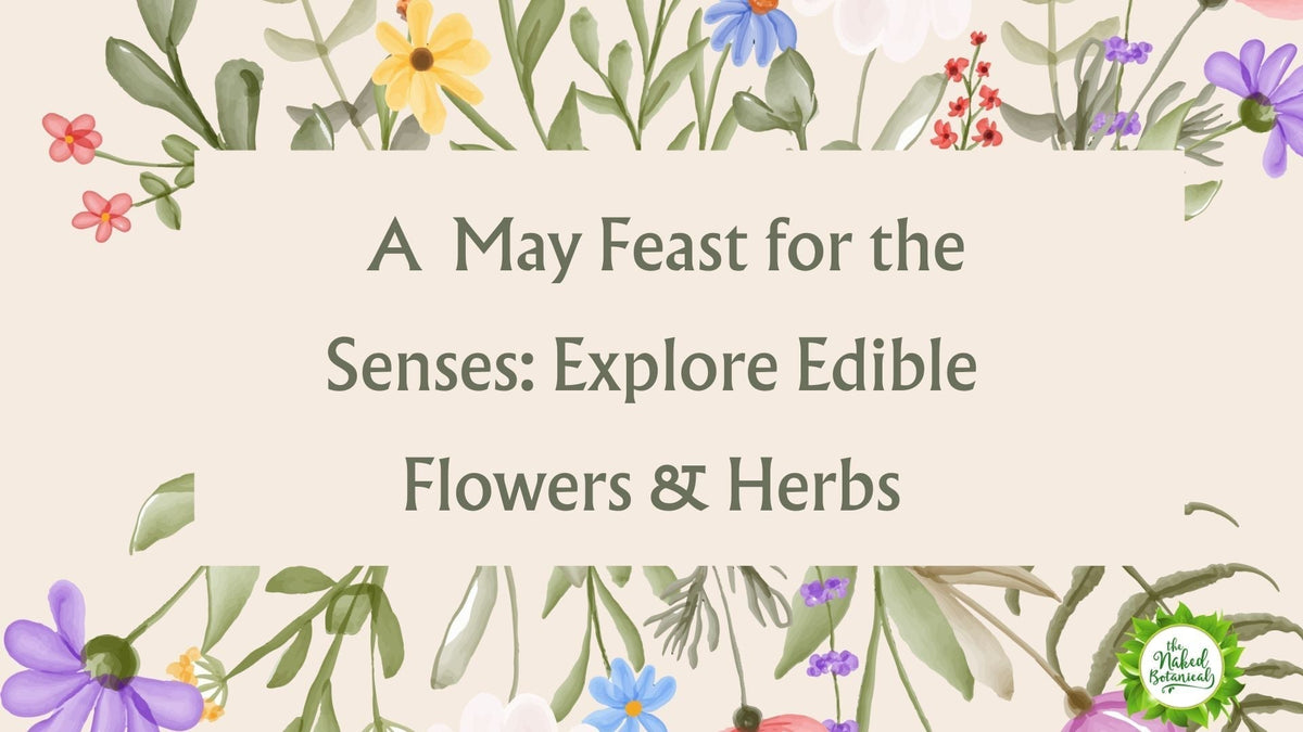 Explore May's Feast of Edible Flowers & Herbs