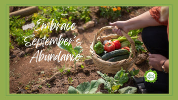 Embrace September's Abundance