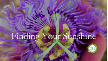 Finding your Sunshine with the Help of Herbs
