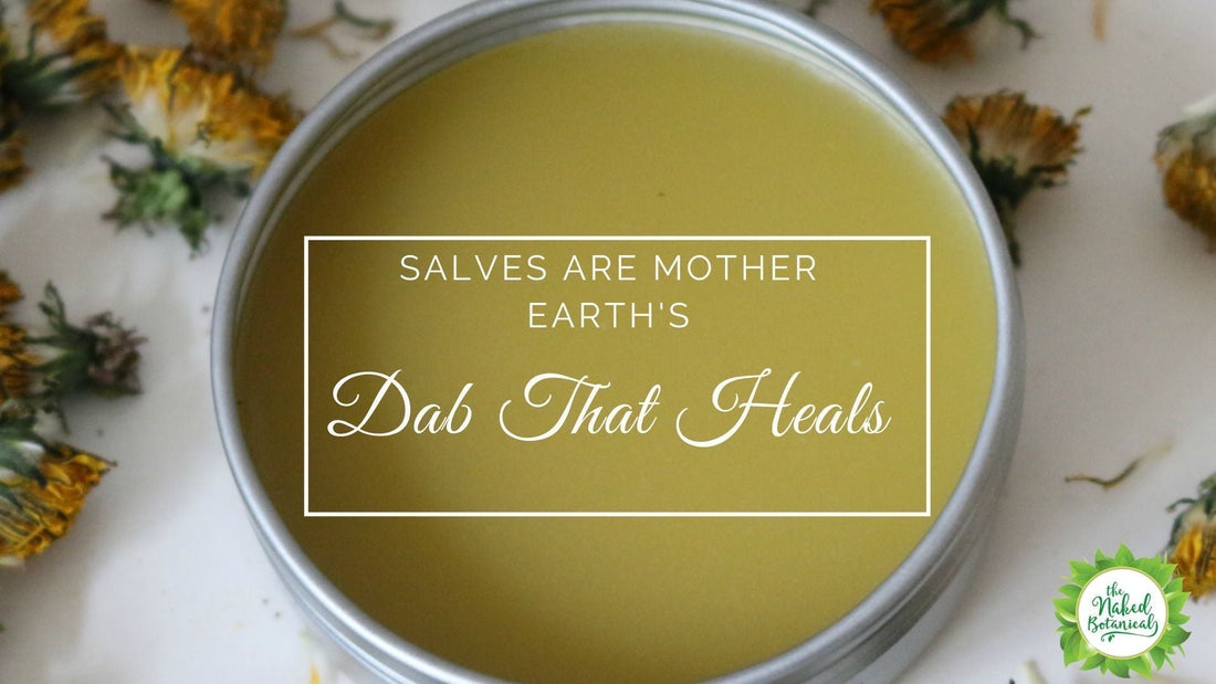 Salves are Mother Nature's Dab that Heals - The Naked Botanical