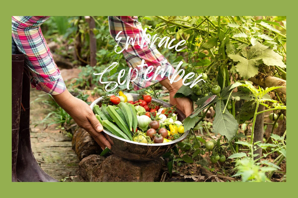 Embracing September's Abundance and Gratitude