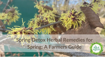 Spring Detox Herbal Remedies for Spring: A Farmer's Guide - The Naked Botanical