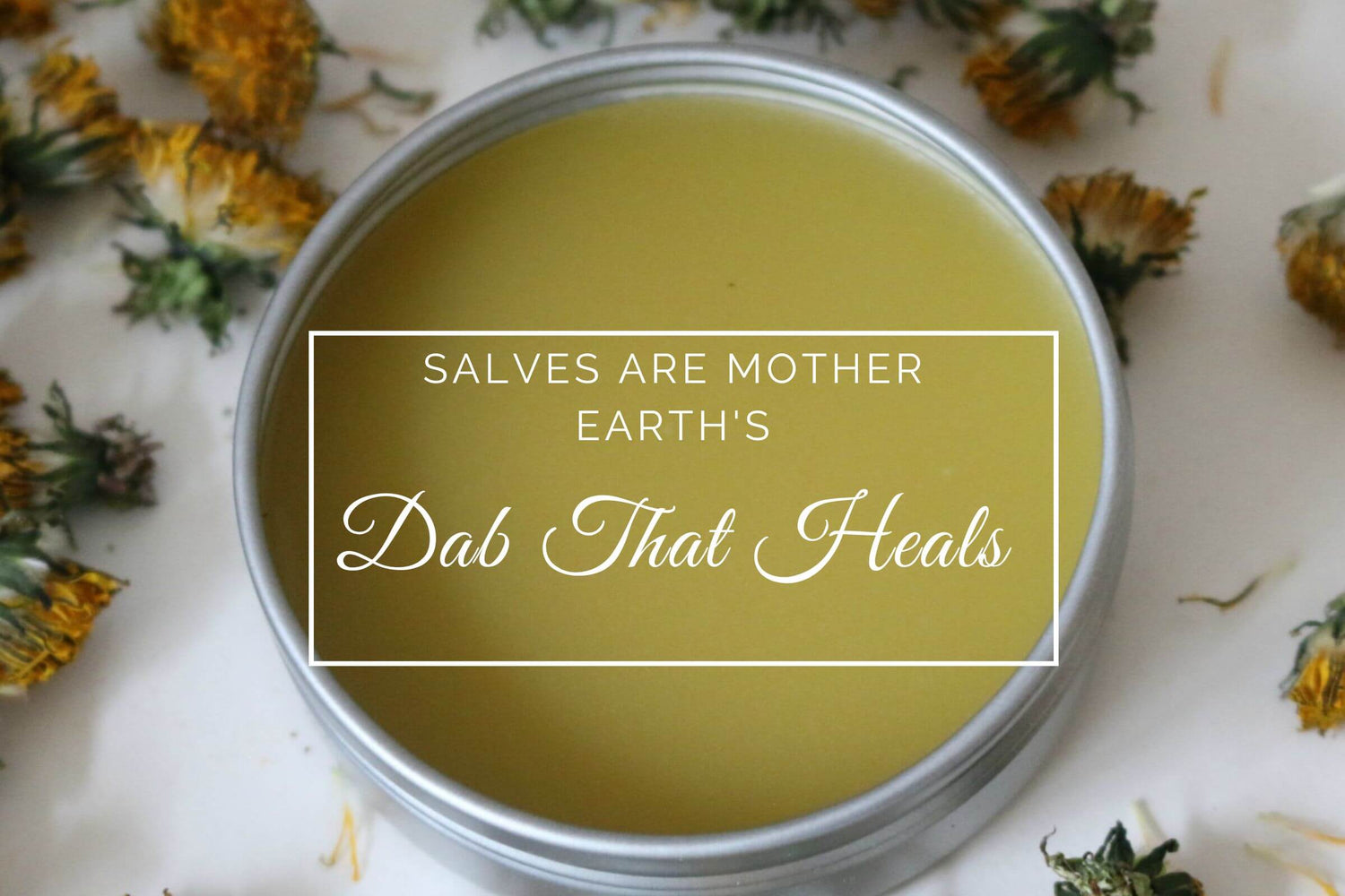 Love Your Skin Salve with the caption Salves are Mother's Earths Dab that Heals