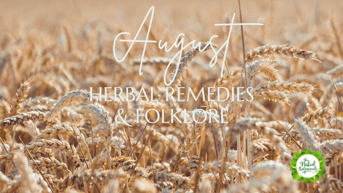 Unleash the Power of Plants: August Herbal Remedies and Folklore