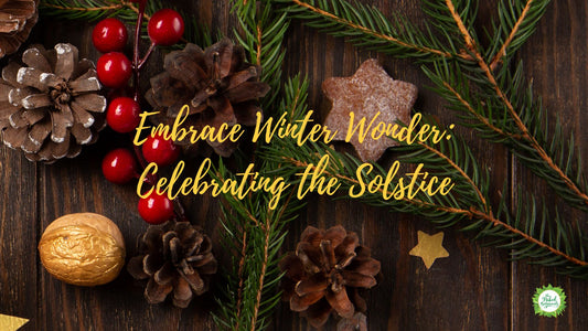 Embrace Winter Wonder: Celebrating the Solstice