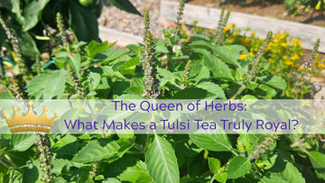 The Naked Botanical-The Queen of Herbs