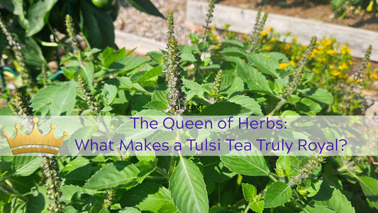 The Naked Botanical-The Queen of Herbs