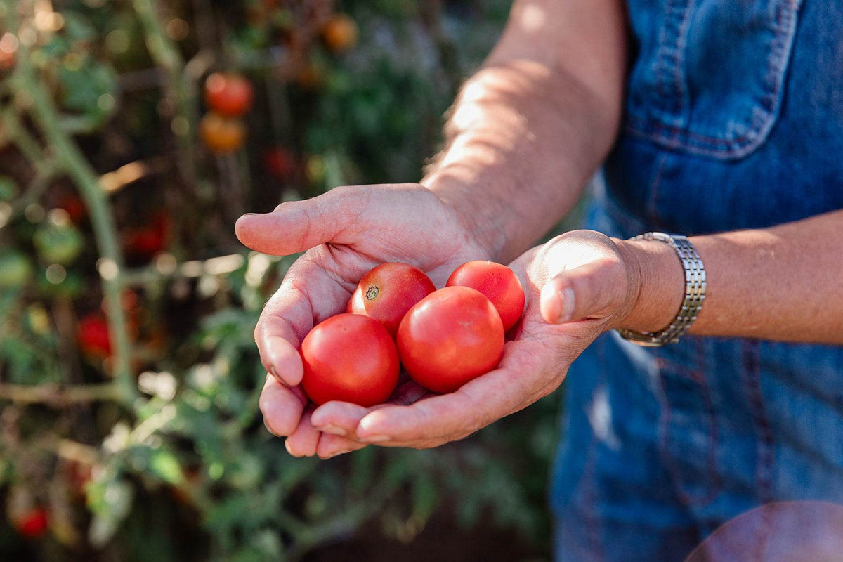 Farm Events & Plants - The Naked Botanical