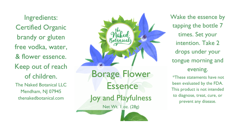 Flower Essences - The Naked Botanical